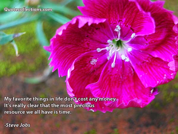 Steve Jobs Quotes2
